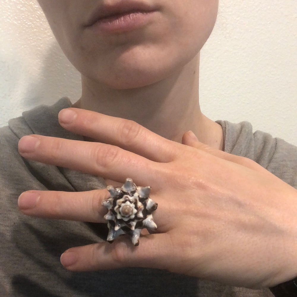 Carved out shell ring